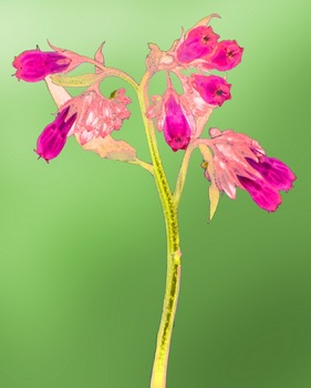 F 057B
